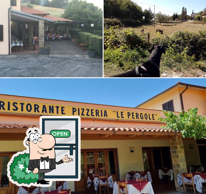 Guarda gli esterni di RIstorante Pizzeria, Bar Al Pergolato