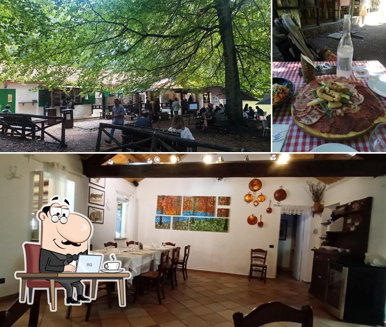 Questa è la immagine che raffigura la interni e bevanda di Trattoria Foresta Umbra