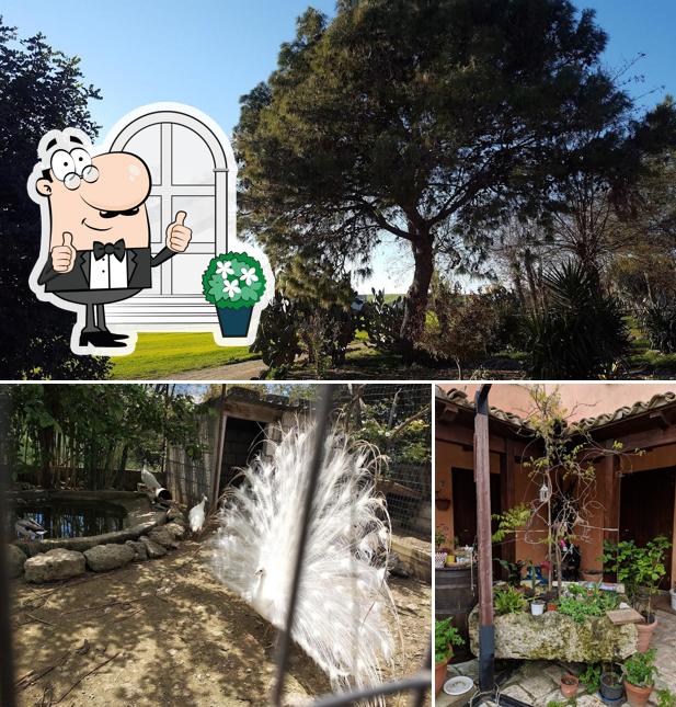 Gli esterni di Agriturismo masseria fortificata Oasi Rupestre