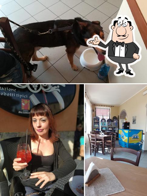 Siediti a un tavolo di Wine Bar L'innesto