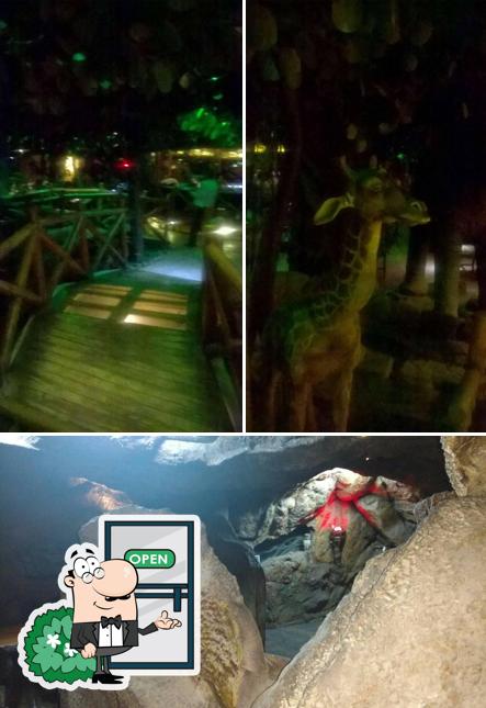 Enjoy the view outside Serengeti