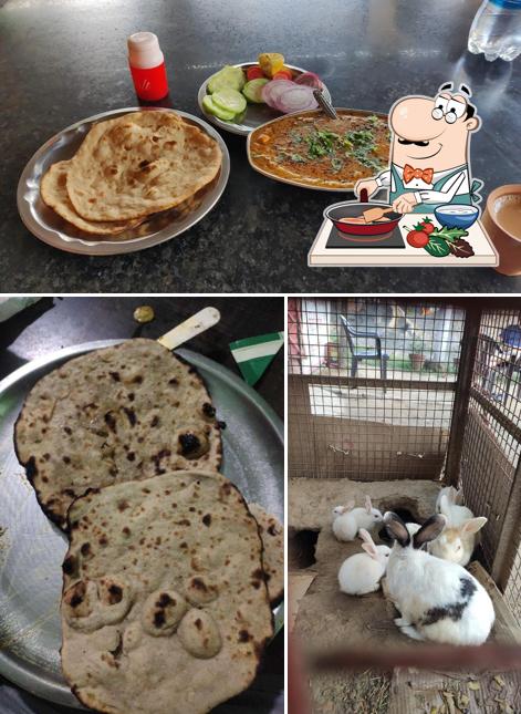 Chicken curry at Swagat Family Restaurant