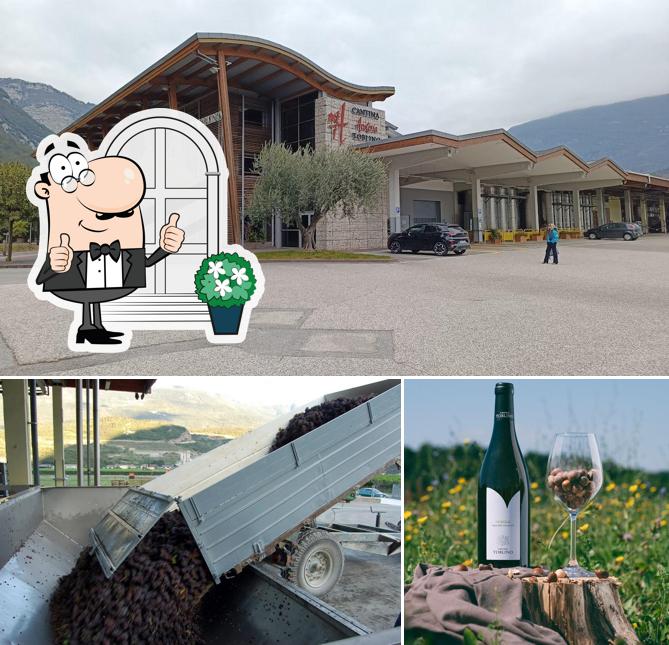 Questa è la immagine che raffigura la esterno e bevanda di Cantina Toblino