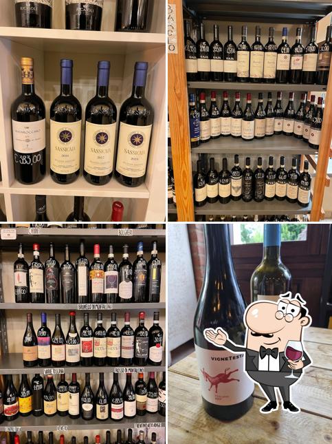 Enoteca La Vite Turchese - Wine tasting - Wine shop