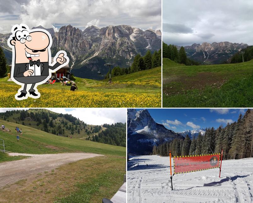 Guarda gli esterni di La Bolp