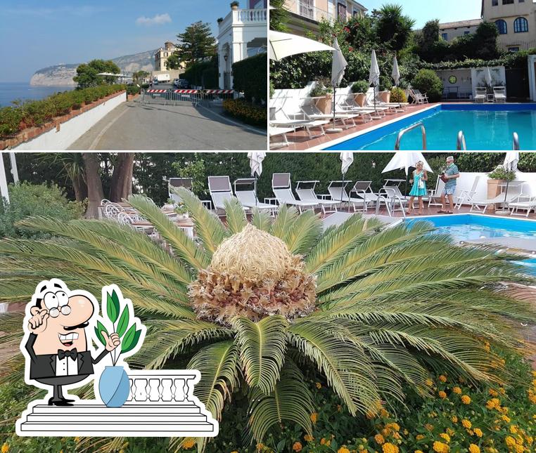 Puoi goderti l'aria fresca dal dehors di Hotel Villa Garden