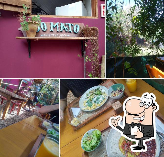 Do Mato Vegetariano