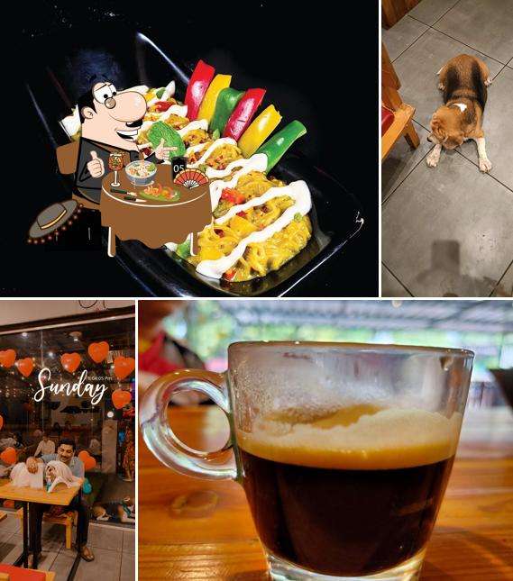 Food at Pefeteria - Gujarat's 1st Pet Cafe