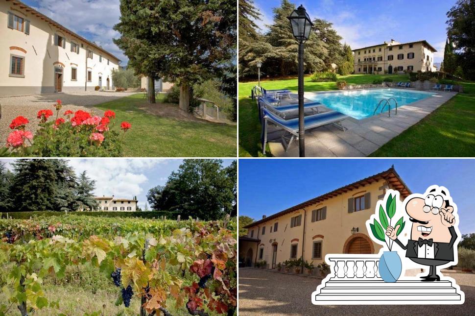 Agriturismo Fattoria I Ricci