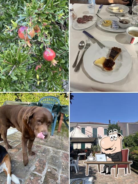 Agriturismo Le Clementine si caratterizza per la interni e cibo