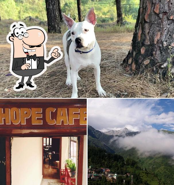 The exterior of Hope Cafe and Stories