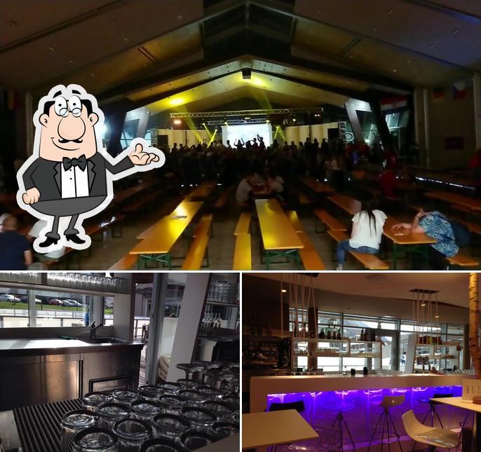 Dai un'occhiata agli interni di Icebar