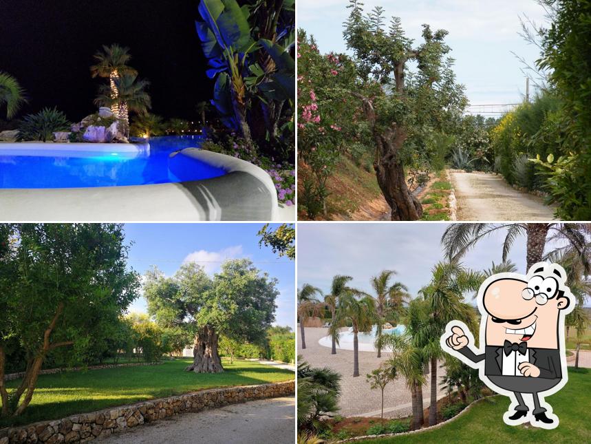 Guarda gli esterni di Masseria Caselli Hotel Ricevimenti