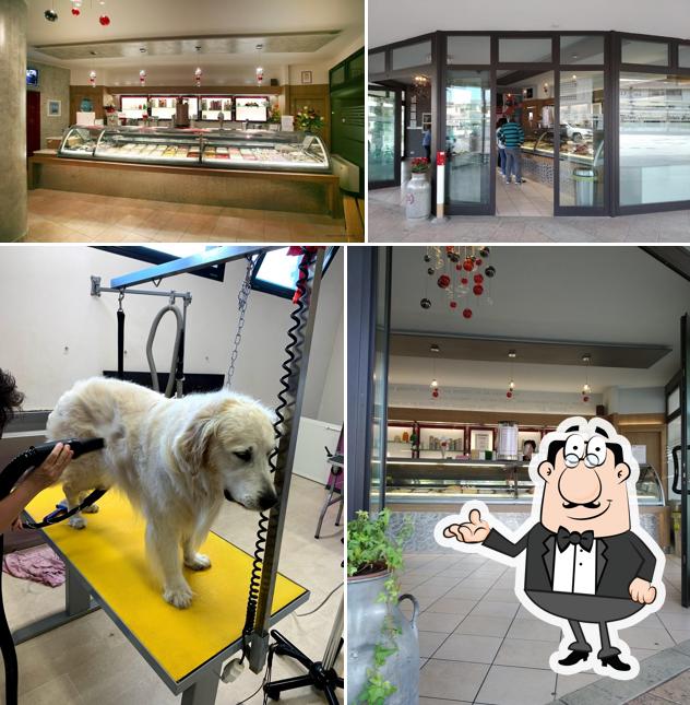 Gli interni di Gelato Arcobaleno