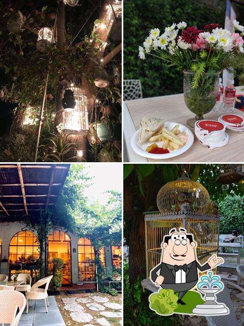 Check out the outside area of Cafe Soul Garden