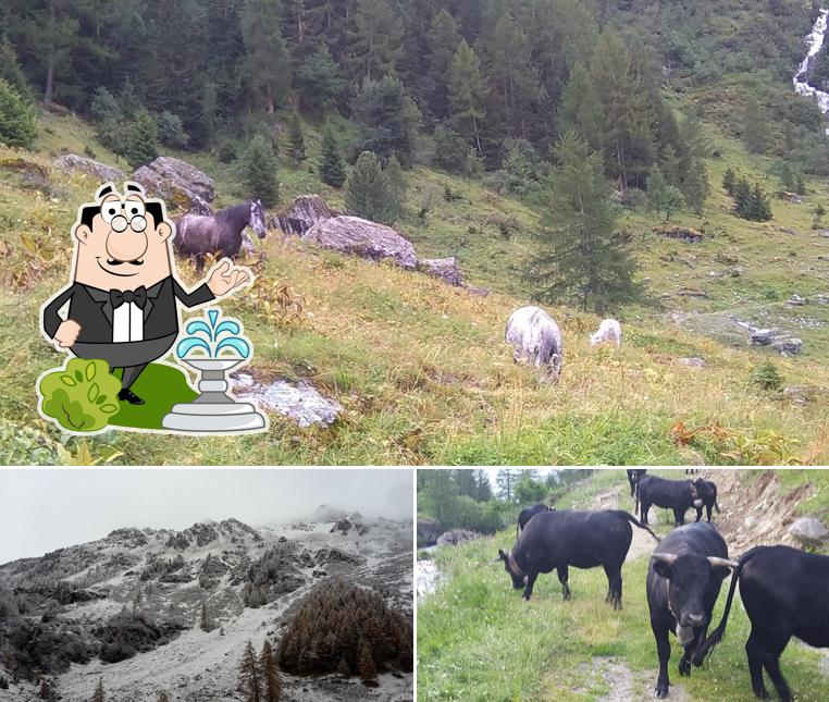 Puoi goderti l'aria fresca da seduto all'esterno di Buvette de La Lé