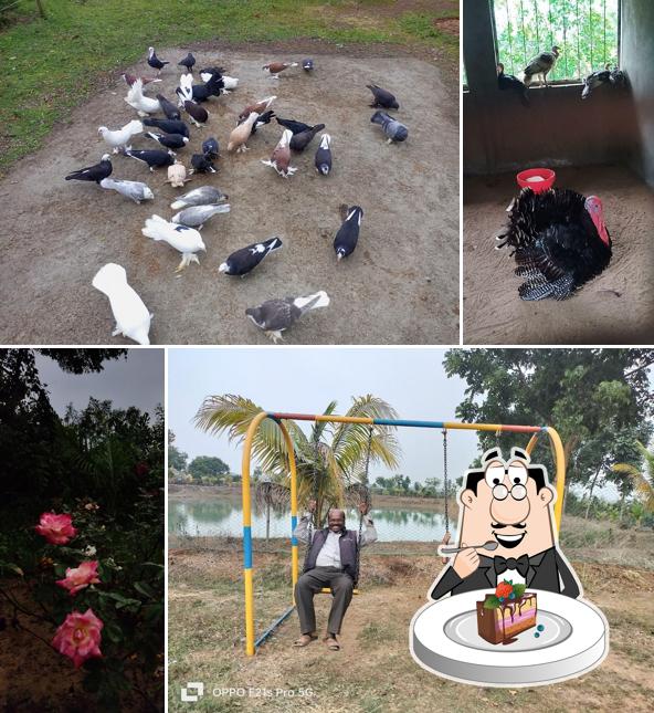 MICO TOURISM PARK