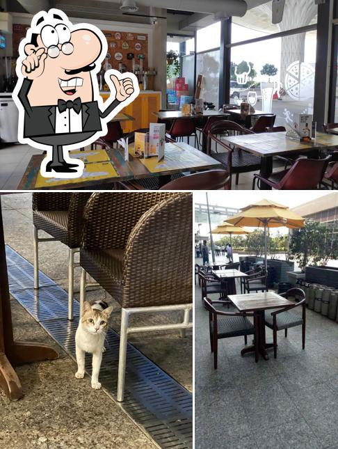 Check out how The Beer Café looks inside