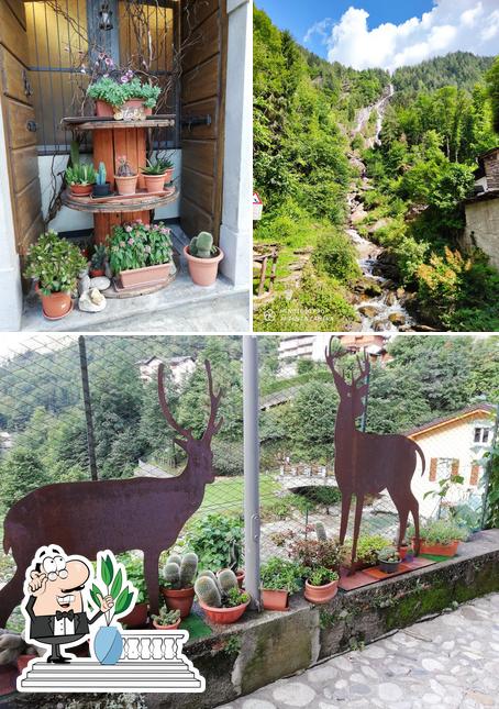 Pasticceria Caffetteria Molinari