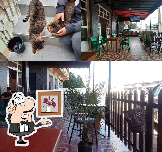 Cafe jamal