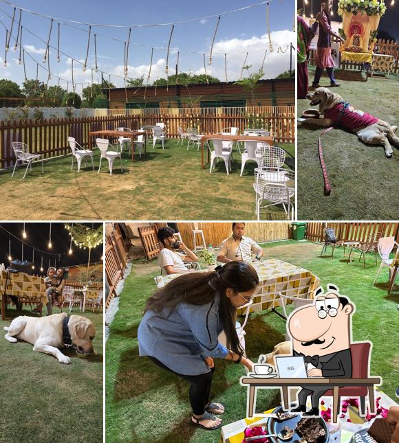 Check out how Doggy Hotel looks inside