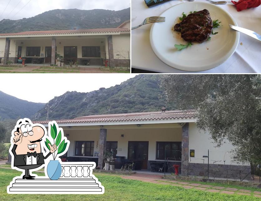 Questa è la immagine che mostra la esterno e seo_images_cat_91 di Ostello Ristorante Su Mannau