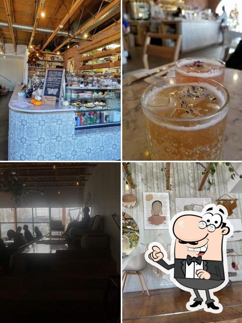 Découvrez l'intérieur de The Moth Cafe