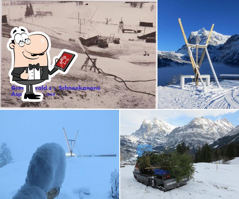 Schibar Gysibielen Grindelwald