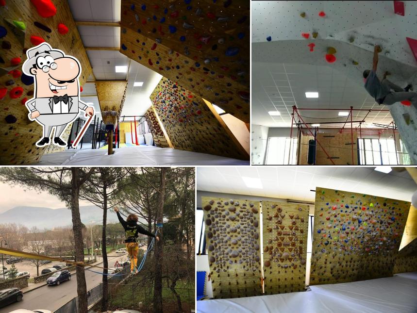Crazy Center - PRATO - Climbing Center
