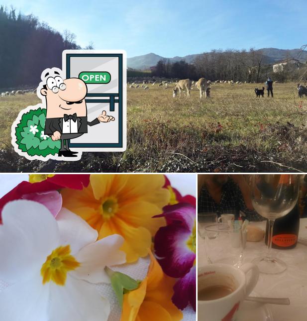 Guarda gli esterni di Trattoria Giordani