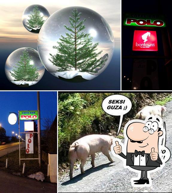 Caffe bar “polo„