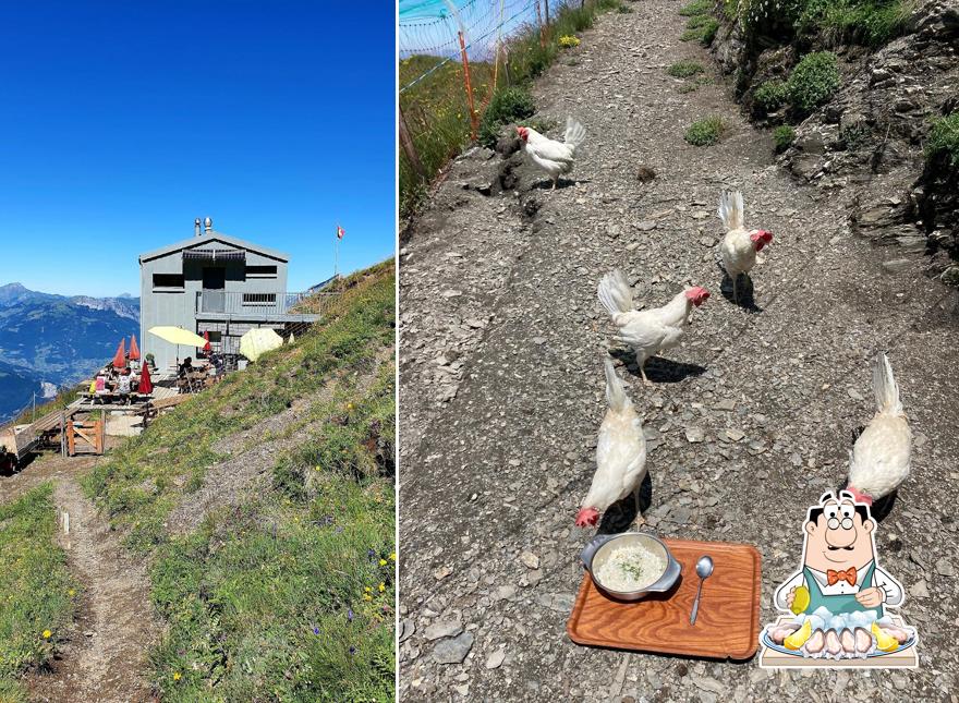 Cabane de la Tourche