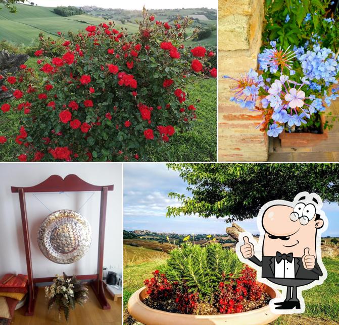 La Ragola Country House