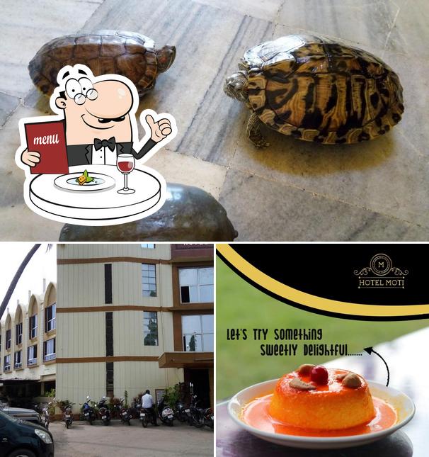 The picture of Hotel Moti’s food and exterior