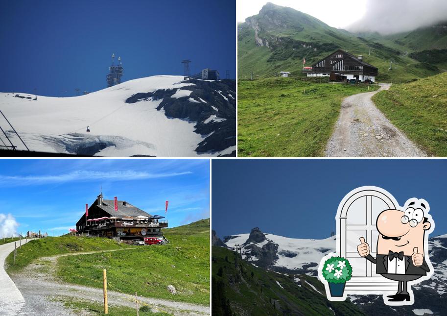 Alpstubli am Trübsee