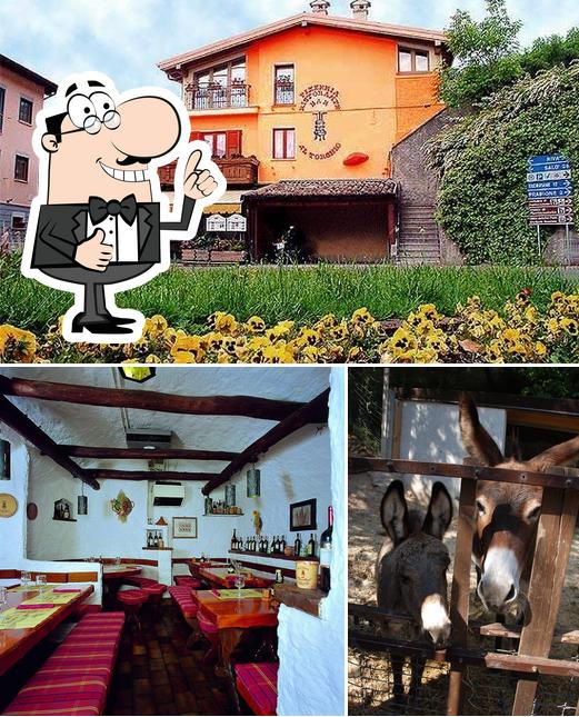 Vedi la foto di Agriturismo Collini e Pizzeria Al Torchio