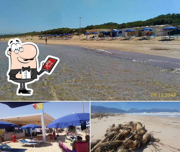 Curiosa tra la parte esterna di Lido Greg
