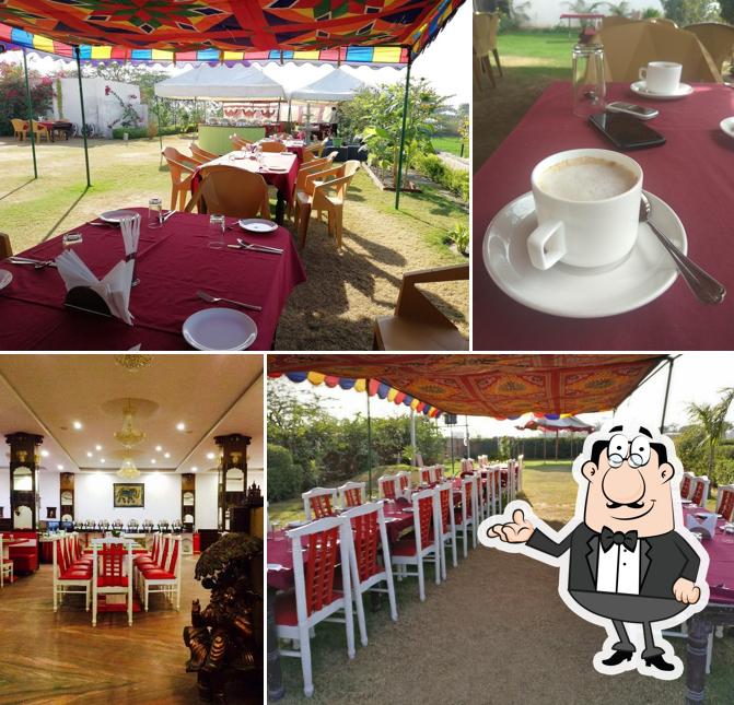 Dharma Resorts