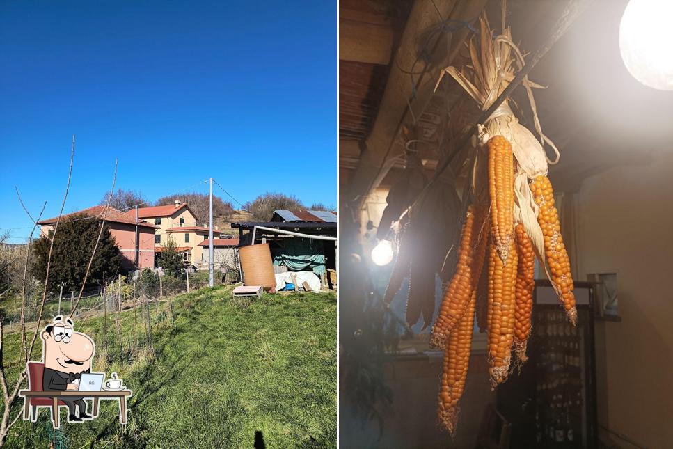 Dai un'occhiata agli interni di Cascina Castello