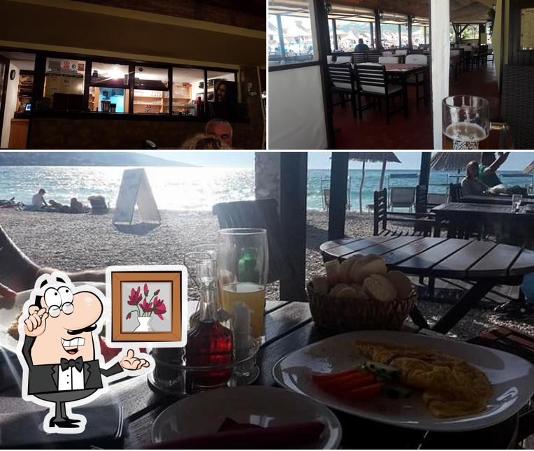 Dai un'occhiata agli interni di Tropica