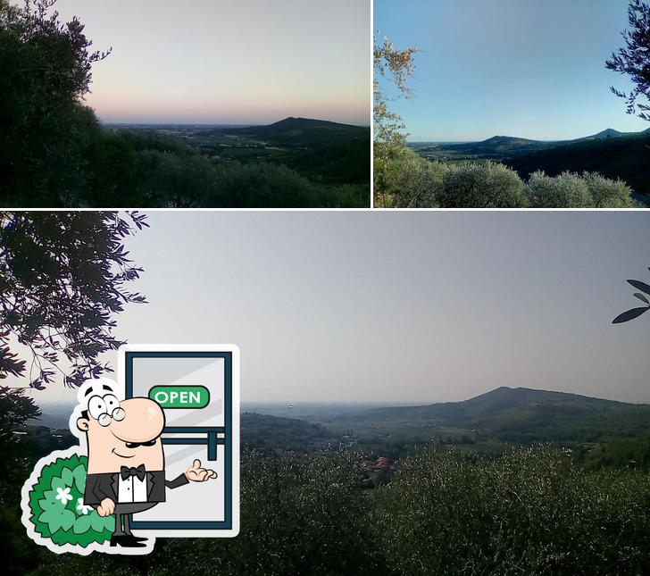Gli esterni di Orto degli Ulivi