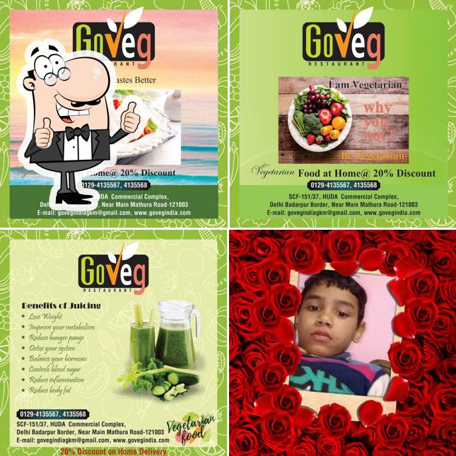 See the image of Go Veg India Restaurant