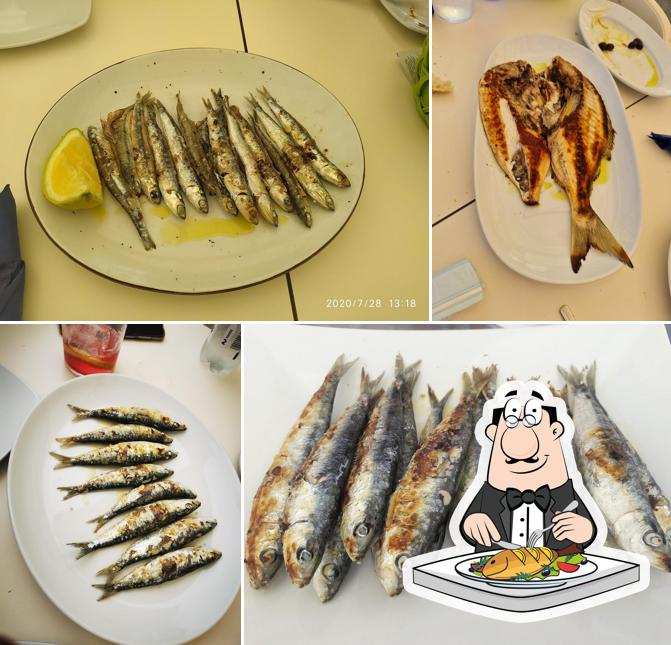 Restaurante Terra Milles