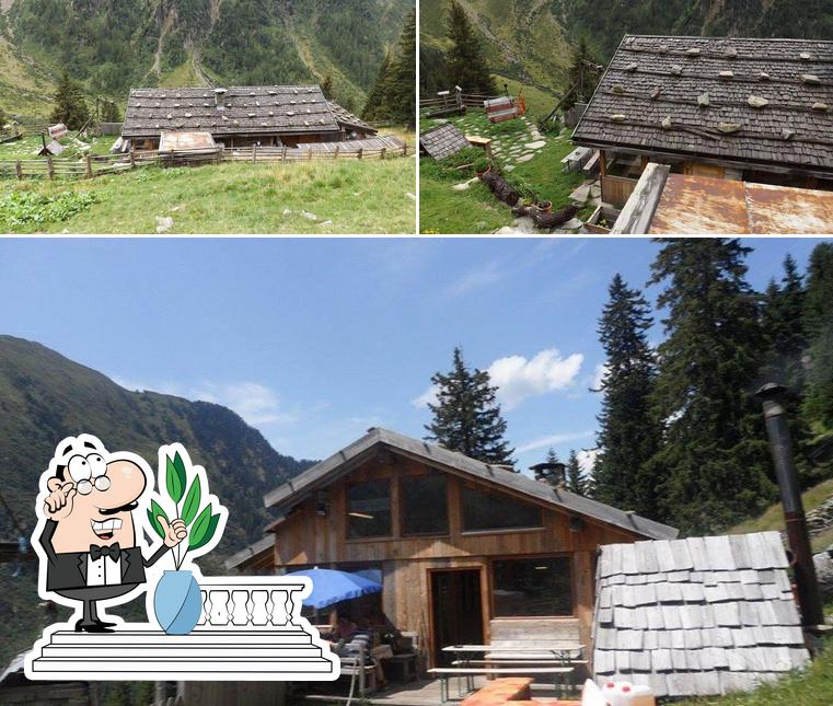 Bärnfiecht Alm