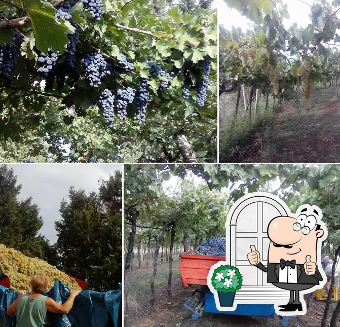 Agriturismo Il Gran Duca