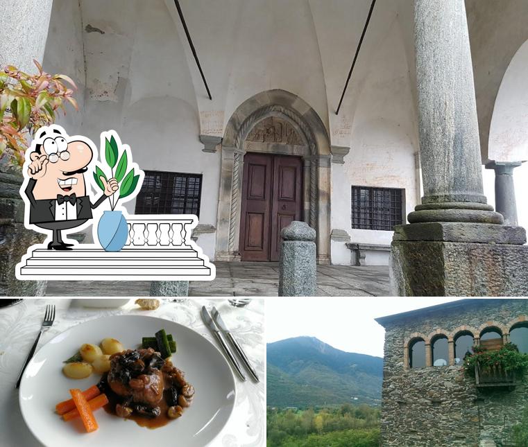 Curiosa tra l'area esterna di Ristorante Torre della Sassella