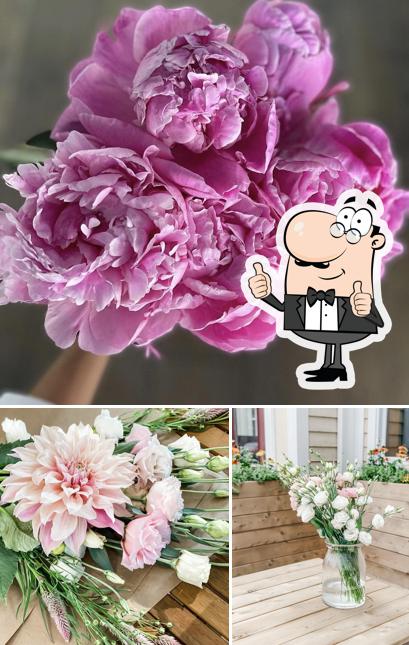 Fleurs & Smoothies – Sutton