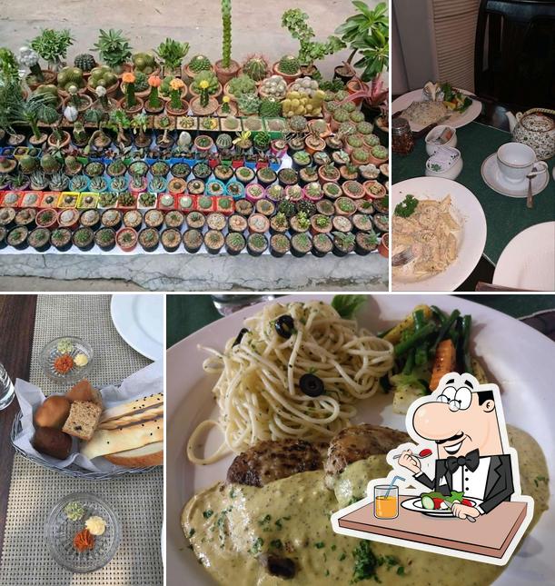 Meals at Oliva Lounge Bar