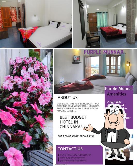 Check out how The Purple Munnar looks inside