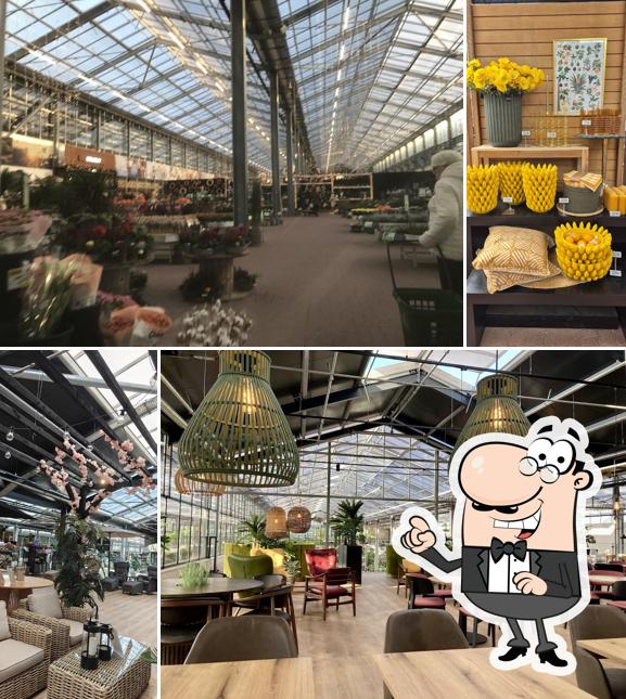 Plantorama Kolding